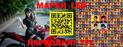 тгк Владивосток