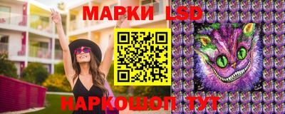 тгк Владивосток
