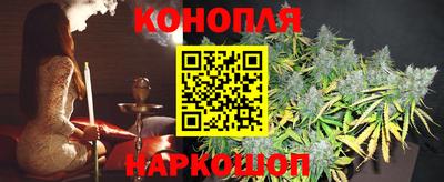 тгк Владивосток
