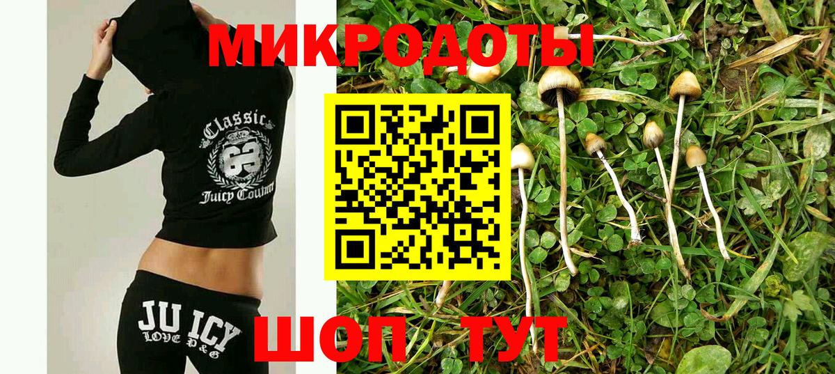 Галлюциногенные грибы мухоморы Саянск